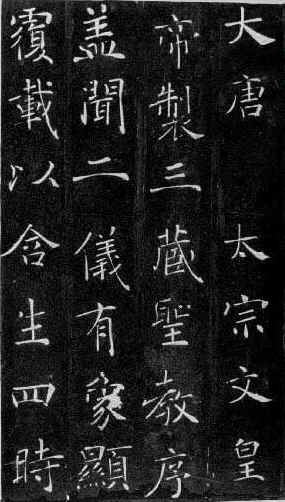 ������ʥ����