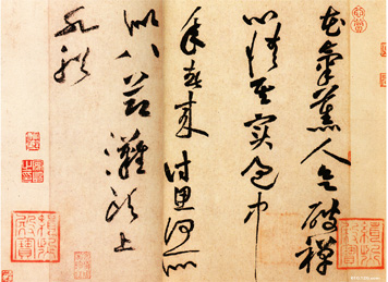 ������޹��ʫ����