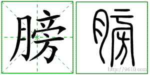 �������ϸ����