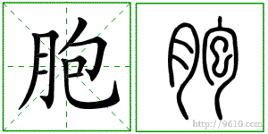 �������ϸ����