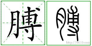 �������ϸ����