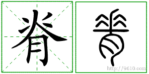 �������ϸ����