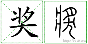 �������ϸ����