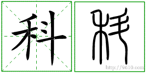 �������ϸ����