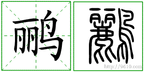 �������ϸ����