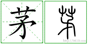 �������ϸ����