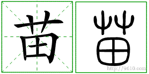 �������ϸ����