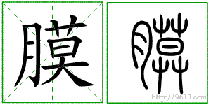 �������ϸ����