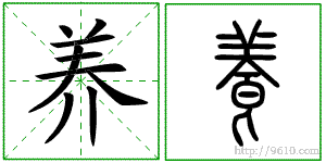 �������ϸ����