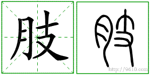 �������ϸ����