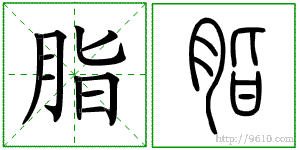 �������ϸ����