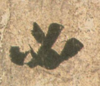 �������ϸ����