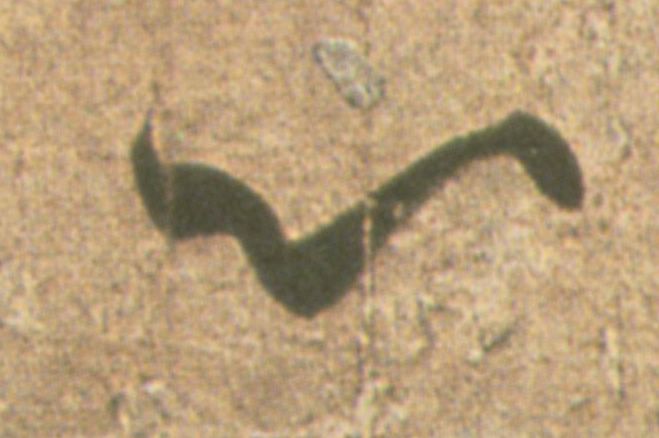 �������ϸ����