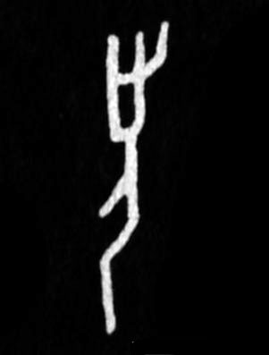 �������ϸ����