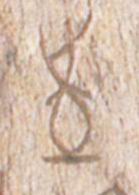 �������ϸ����