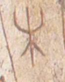 �������ϸ����