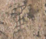 �������ϸ����