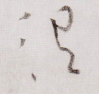 �������ϸ����