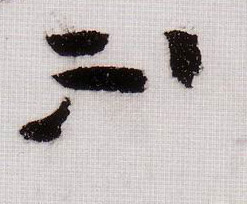 �������ϸ����