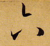 �������ϸ����