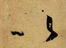 �������ϸ����