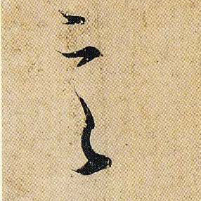 �������ϸ����