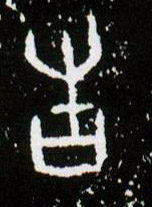 �������ϸ����