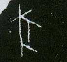 �������ϸ����