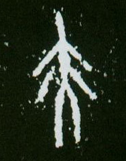 �������ϸ����