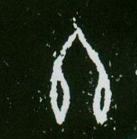 �������ϸ����