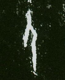 �������ϸ����