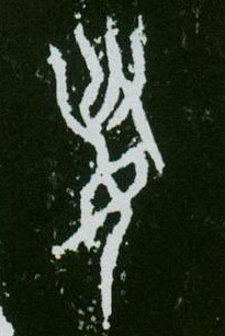 �������ϸ����