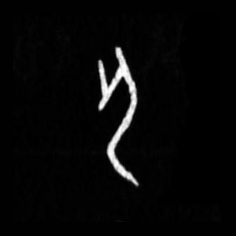 �������ϸ����