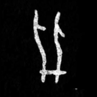 �������ϸ����