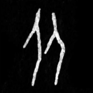 �������ϸ����