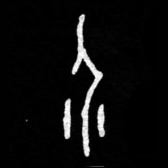 �������ϸ����