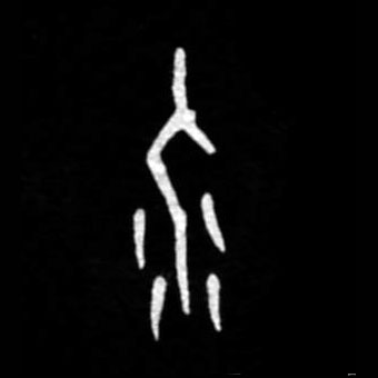 �������ϸ����