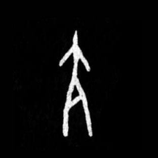 �������ϸ����