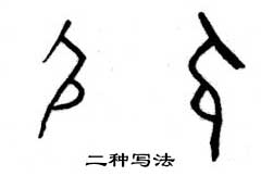 �������ϸ����