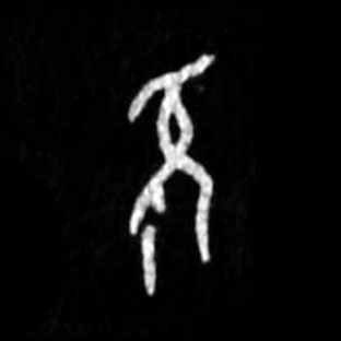 �������ϸ����