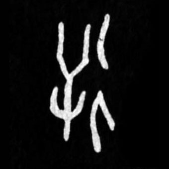 �������ϸ����