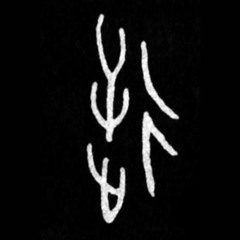 �������ϸ����