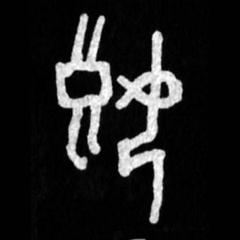 �������ϸ����