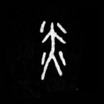 �������ϸ����