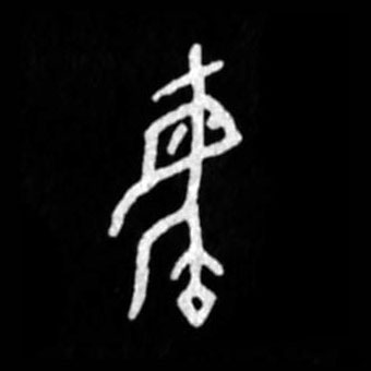 �������ϸ����