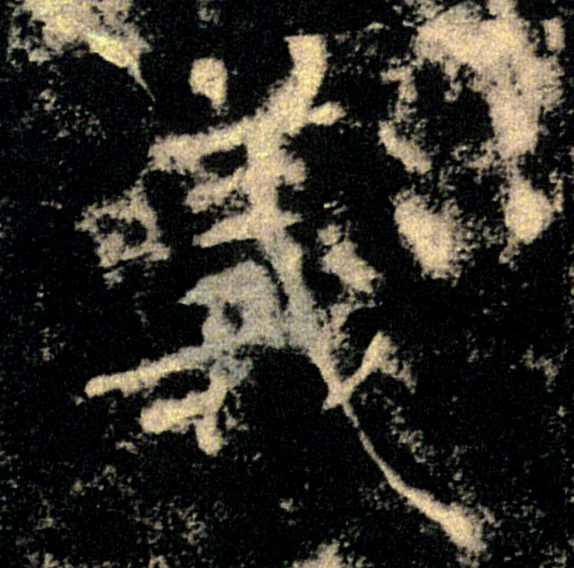 �������ϸ����