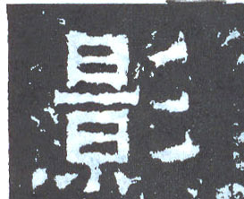 �������ϸ����