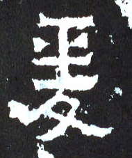 �������ϸ����