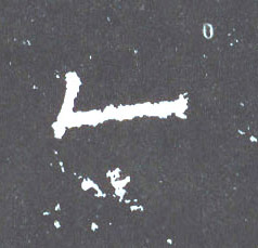 �������ϸ����