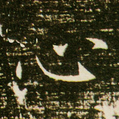 �������ϸ����